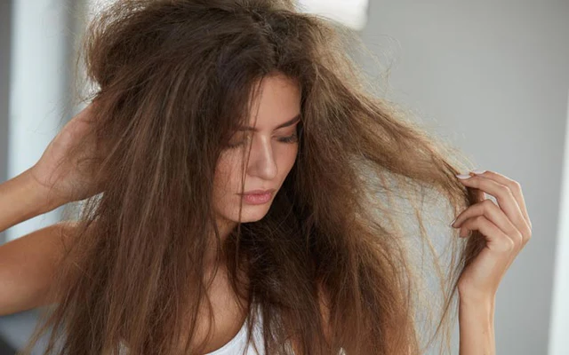 Reviving Damaged, Frizzy Hair: Repair & Recovery Tips