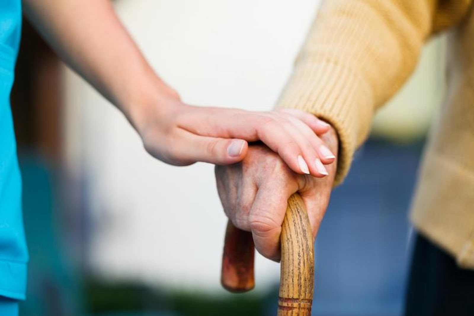 Navigating Care Options: What to Expect from Care Homes in Chelmsford