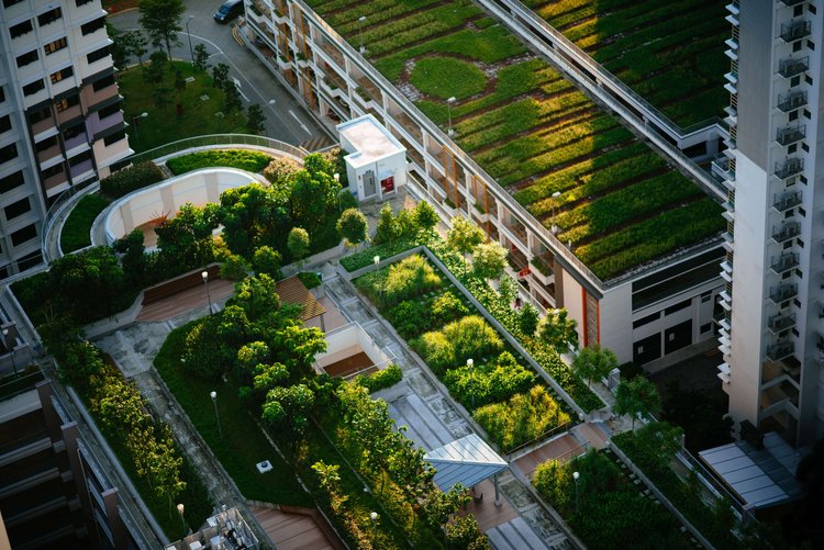 Ali Ata Uncovers the Role of Copywriting in Promoting Green Real Estate