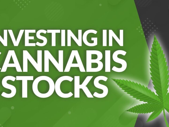 Cannabis Equities in Institutional Portfolios: Risk/Reward Trade-Offs in Frontier Industries