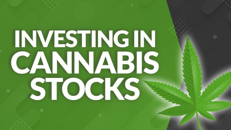 Cannabis Equities in Institutional Portfolios: Risk/Reward Trade-Offs in Frontier Industries